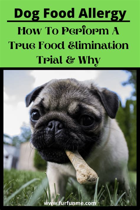 Top 10 best dog foods for allergies. Food Allergy In Dogs. 5+ Tips On How To Do A True Food Trial