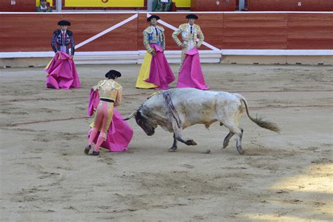 Matador Bullfight 15 Pamplona Pictures Spain In Global Geography