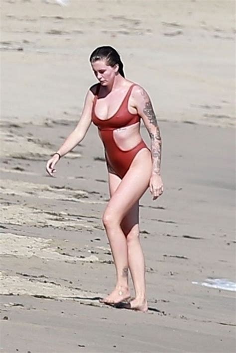 Ireland Baldwin Stuns In A Swimsuit While Enjoying A Beach Day New Photos Thefappening