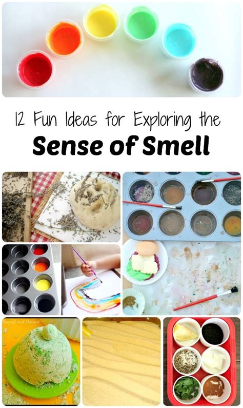 20 Fun Ideas For Exploring The Sense Of Smell Senses Senses