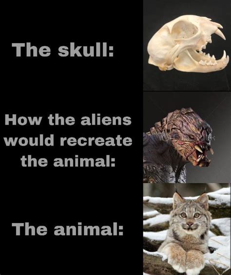 People Compare How Aliens Would Reconstruct Animals Based On Their