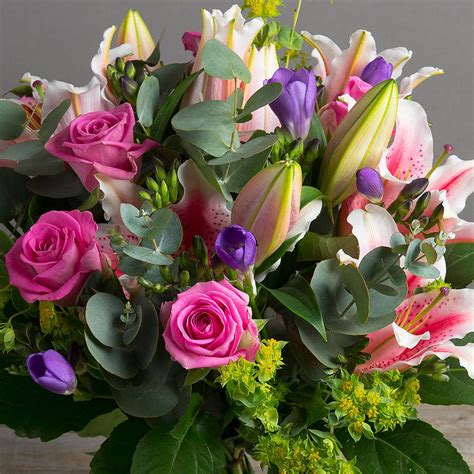 Surprise you partner with our latest collection. Send Beautiful Flowers in Sydney to Express Your Feelings ...