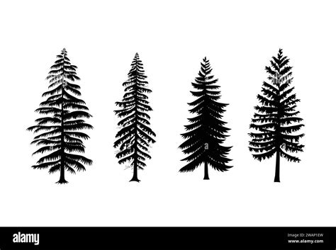 Collection Of Pine Trees Vector Isolated White Background Stock Vector