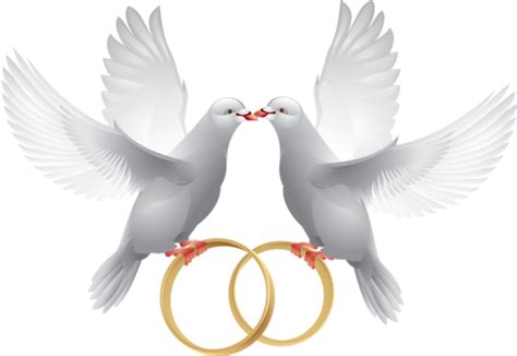 Casamento Wedding Doves Wedding Symbols White Doves