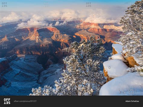 Winter Scene With Snow At Grand Canyon National Park