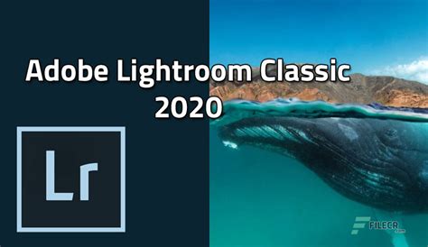 Pc Win Adobe Lightroom Classic 2020 V921 Crack Pre