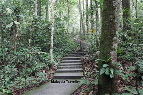 Hutan rekreasi sungai udang) is a forest in sungai udang, melaka, malaysia. Sungai Tekala Recreational Forest