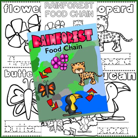 Rainforest Food Chain Coloring Book - Only Passionate Curiosity