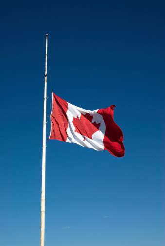 Canadian flag at half mast snowbirds in the background stock photo master premium royalty artist andrew kolb code 600 03456712. Flag At Half Mast Stock Photo - Download Image Now - iStock