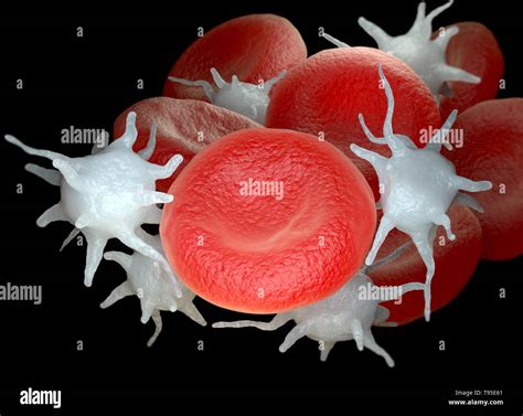Red Blood Cells And Activated Platelets Or Thrombocytes 3d