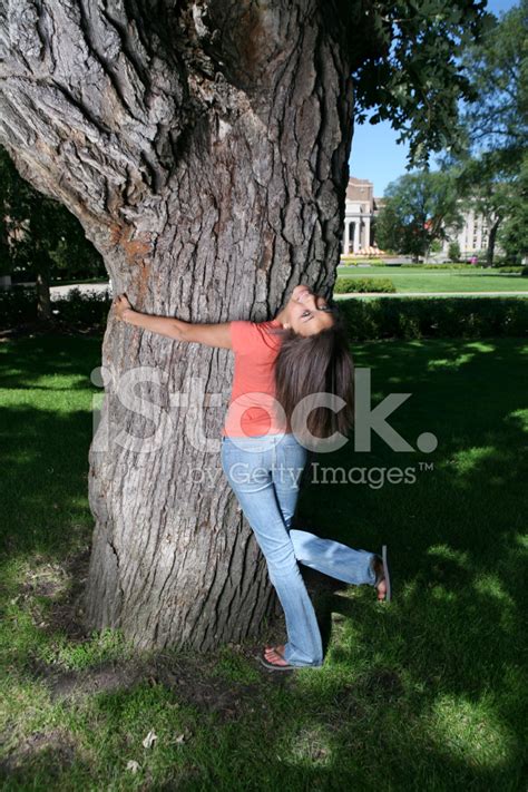 Woman Hugging Tree Stock Photos FreeImages Com