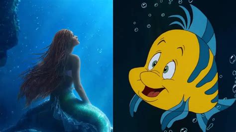 See It Newly Surfaced Fan Artwork Reimagines Flounders Look In The