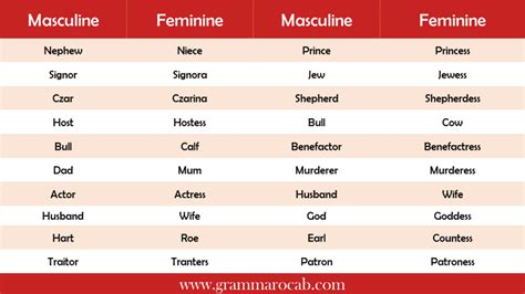 List Of Masculine And Feminine Gender Definition And Rules Grammarvocab