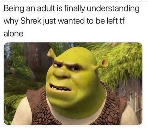 Dank N Fresh Shrek Shtposts 14 Stupid Memes Stupid Memes Funny