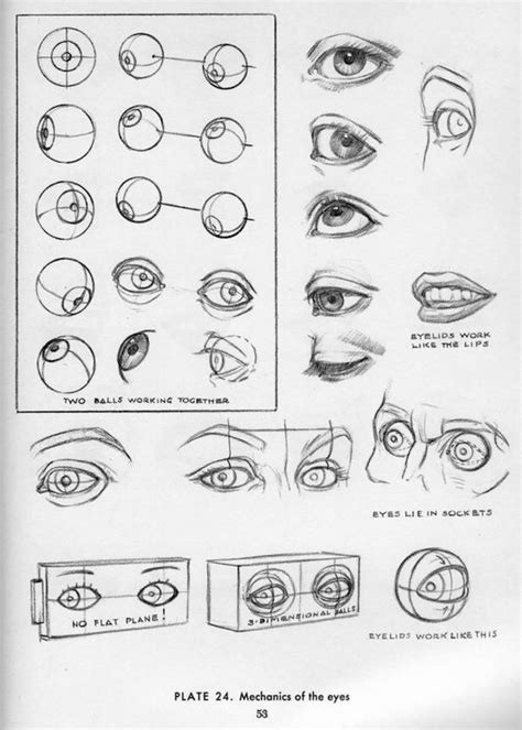 Human Body Drawing Realistic Eye Drawing Face Drawing Andrew Loomis Eye Anatomy Human