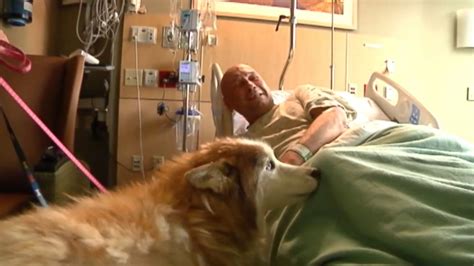 Tornado Survivor Gets Hospital Reunion With Lost Dogs Abc News