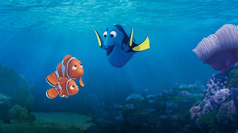 Alla Ricerca Di Dory Il Film Sequel Di Nemo Trama Cast E Streaming
