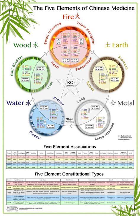 The Worlds Best Five Element Acupuncture Wall Chart Chinese Medicine