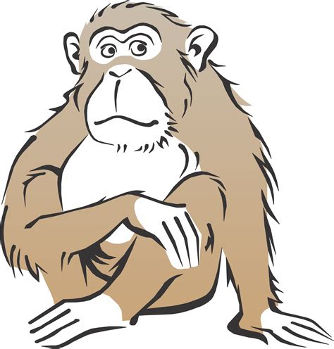 Realistic Monkey Clipart Clip Art Library