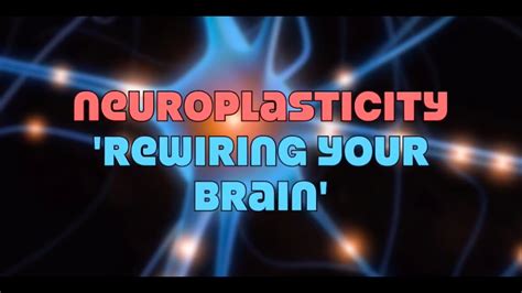 neuroplasticity rewiring your brain youtube