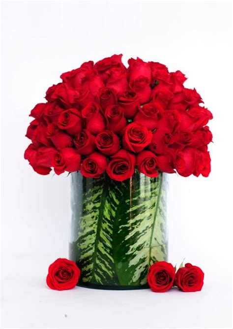 Изучайте релизы rosas rojas на discogs. Arreglo de Rosas - 100 Rosas Rojas 14 de Febrero | AZAP