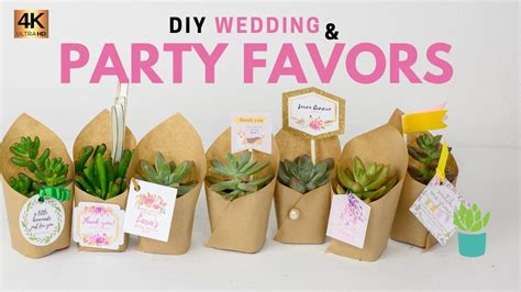 How To Make Wedding Succulent Favors Party Favors Youtube