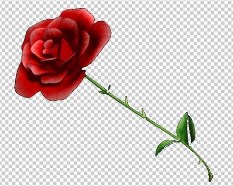 Image with no background called 2 » Background Check All How to remove background from picture?