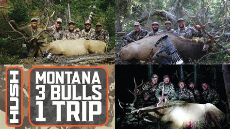 Montana Archery Elk 3 Bulls In 8 Days Hush Throwback Youtube
