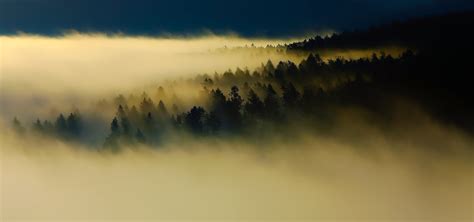 무료 이미지 경치 나무 자연 숲 황야 구름 하늘 안개 해돋이 일몰 한 지방 햇빛 아침 언덕 새벽