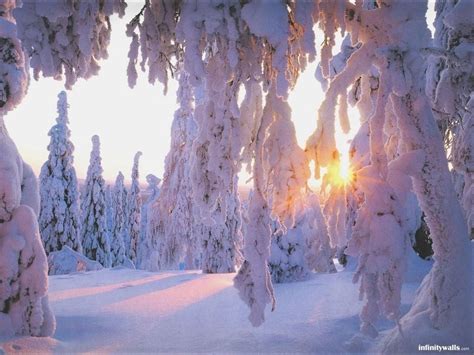 Bing Images Winter Wallpaper