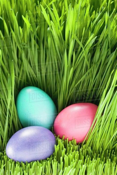 Three Easter Eggs In Grass Stock Photo Dissolve