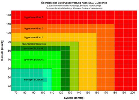 Welche blutzuckerwerte werden als normal bezeichnet? Blutdruck - Was ist das überhaupt? Einflussfaktoren & Bedeutung ...