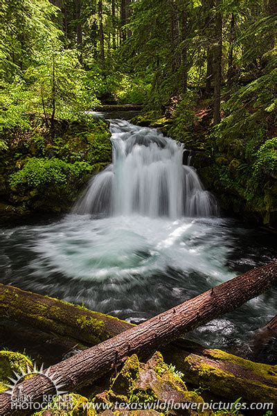 Whitehorse Falls Revisited Umpqua National Forest Oregon