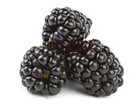 How To Select Store And Serve Blackberries Recipes