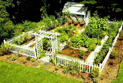 Beautiful Vegetable Garden Layout | Обустройства сада, Овощной сад