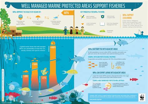 Well Managed Marine Protected Areas Support Fisheries Marine