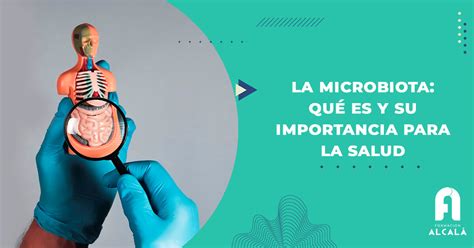 La microbiota y su importancia para la salud Formación Alcalá