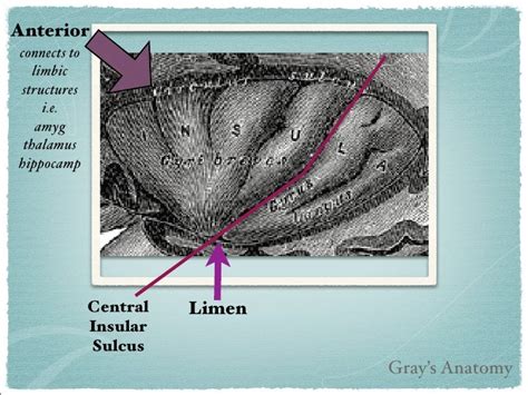 Insula Preso