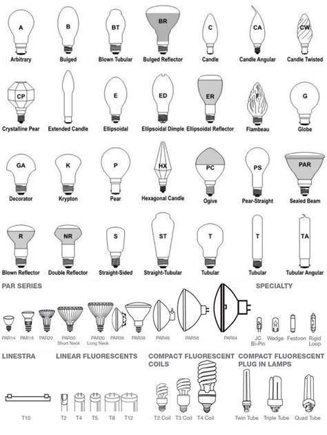 Light Bulb Sizes Chart