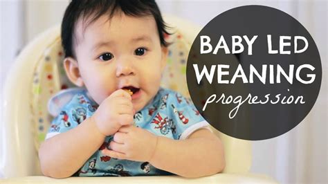 Baby Led Weaning Blw Progression 6 10 Months Youtube