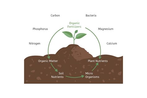 Integrated Nutrient Management Taro Pumps