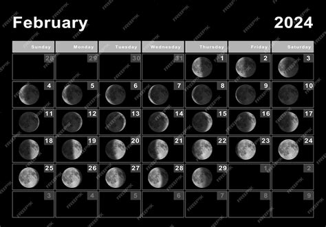 Premium Photo February 2024 Lunar Calendar Moon Cycles Moon Phases