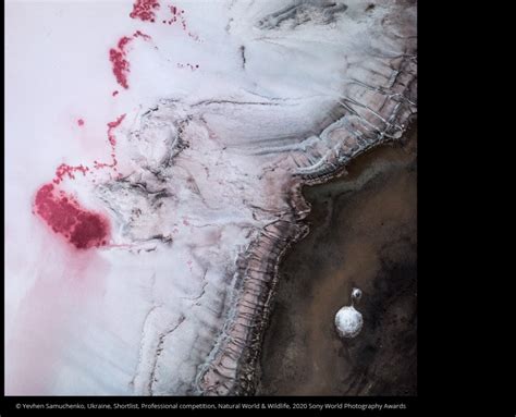 Pink Lakes Of Kherson Region Showed Ukrainian Photographerat Sony World