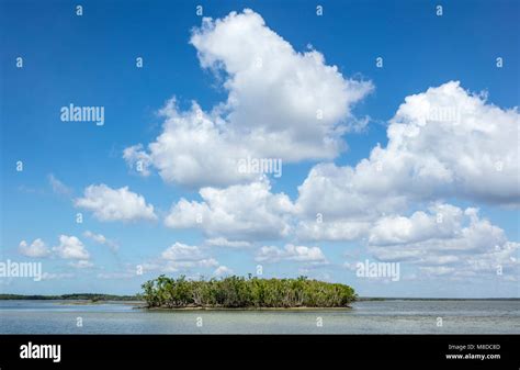A View Of Ten Thousand Islands Area Located In Everglades National Park