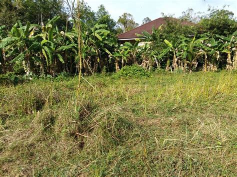 Tanah puteh health clinic sees improved facilities upgrades dayakdaily. Ejen Hartanah Bumiputra ~ Rumah Untuk Dijual: Tanah Lot ...