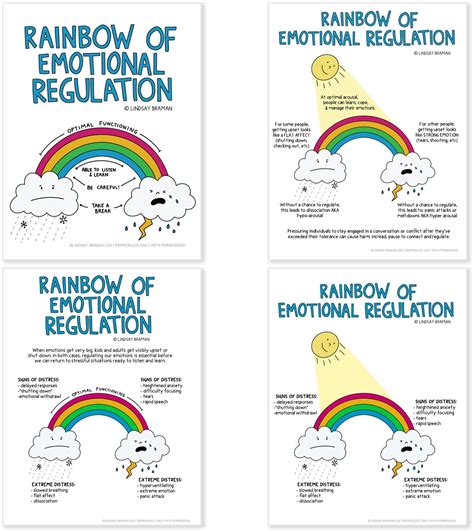 rainbow of emotional regulation educational illustrations by lindsay braman social emotional