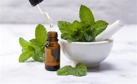 Mint Essential Oil And Mint Leaves On A Marble Stock Photo Image Of