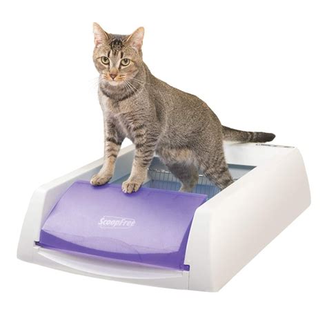 Petsafe Scoopfree Original Self Cleaning Cat Litter Box Top Cat Ts