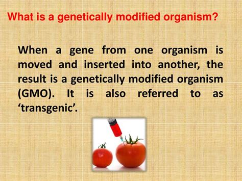 Ppt Genetically Modified Food Powerpoint Presentation Free Download