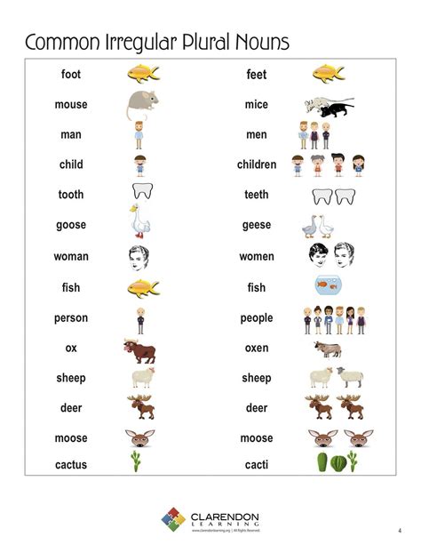 20 free irregular plural nouns worksheet worksheet from home